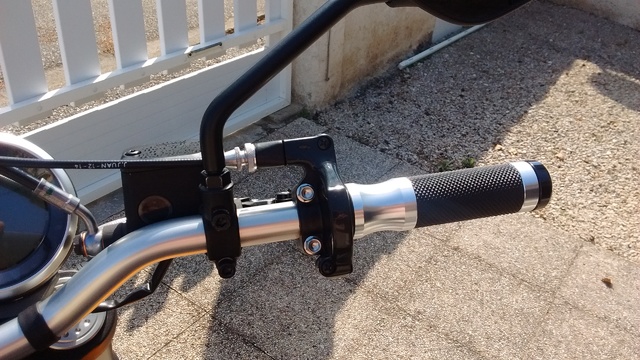 my scambler (1) (11)