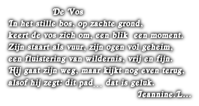 cooltext501295479300358