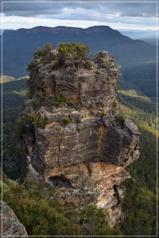 Blue Mountains - Australia (I): toma de contacto (18)