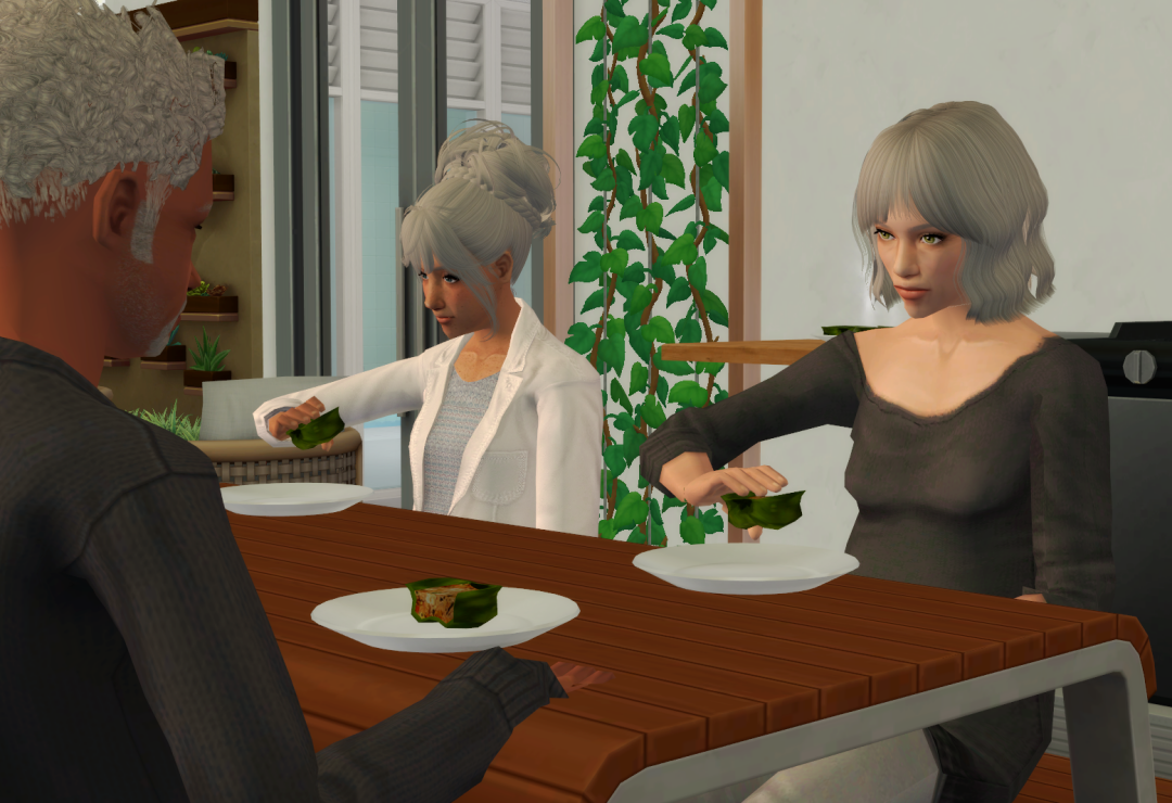 Sims2-EP9-RPC-2023-09-29-19-43-10-04