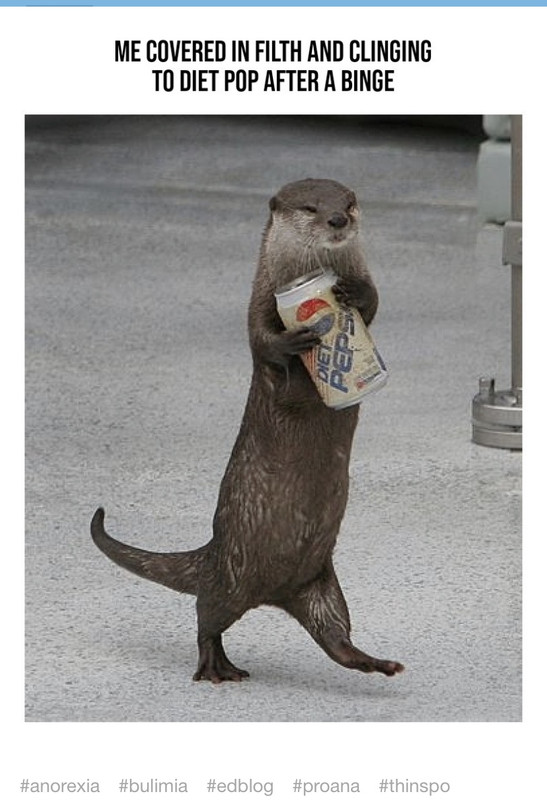 D5696EFB-8DB2-4491-8008-737597F73A9C