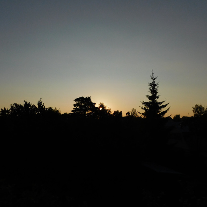 Дачно-барбейское июль, Харлинское 2-я серия 003