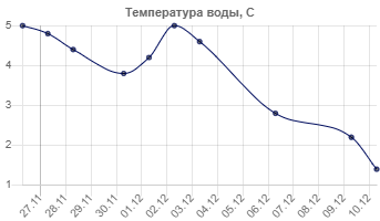 Без названия (3)