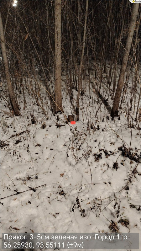 IMG 20251117 213128 750