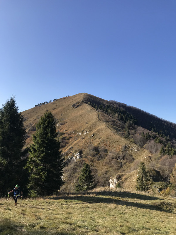 35C3FEC7-44BF-4C7B-B6CA-61EAB75865A9