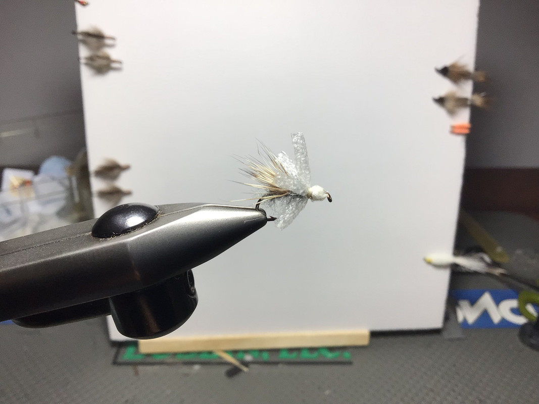 A9B4777F-F68C-47C9-A461-A7B71CB34814