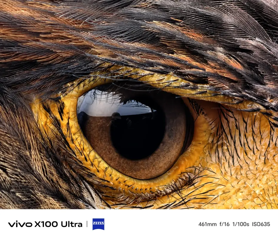 Vivo X100 Ultra camera samples