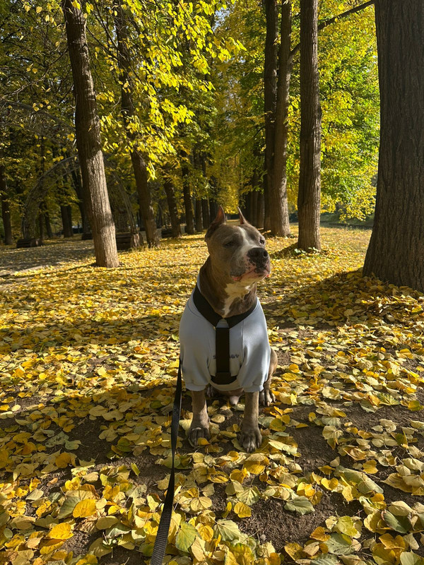 WhatsApp Image 2025-10-09 at 16.06.49 (2)