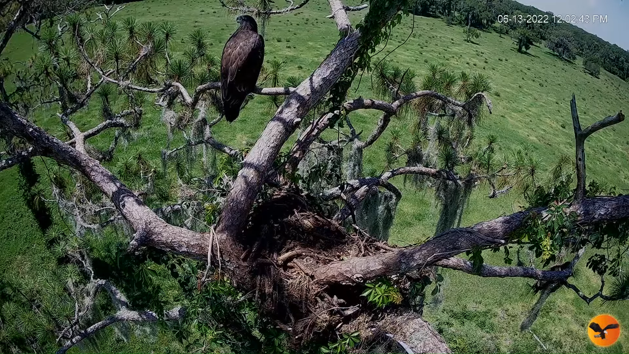 EC 4K Overhead Cam 11-55-41 screenshot