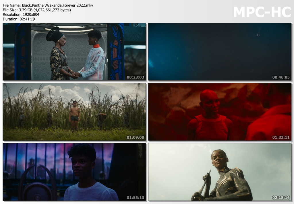 Black-Panther-Wakanda-Forever-2022-mkv-thumbs.jpg