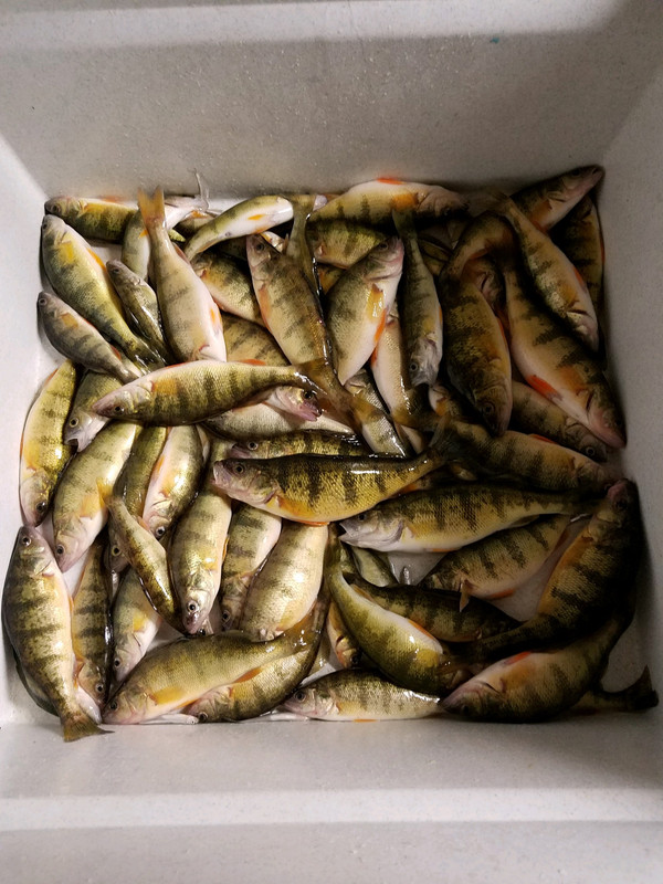 F52491C0-77FE-4D05-B1ED-91F41CCEDEE6