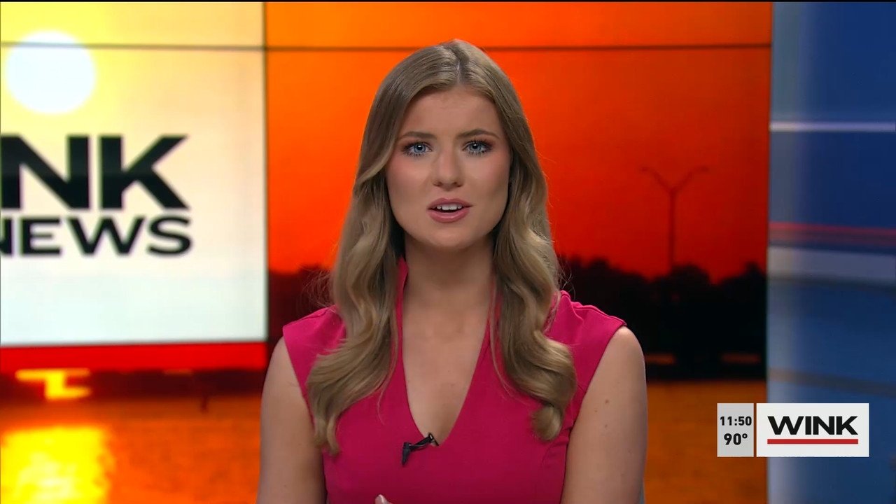 07.09 - 16.30.00 - WINK NEWS at 11 30am. Midday news..ts_snapshot_26.27.748