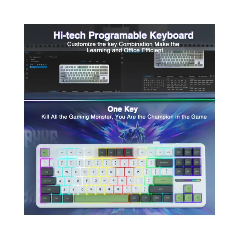 Aula F87Pro WG5