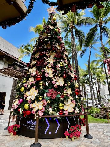 [Image: IMG-0875.jpg]