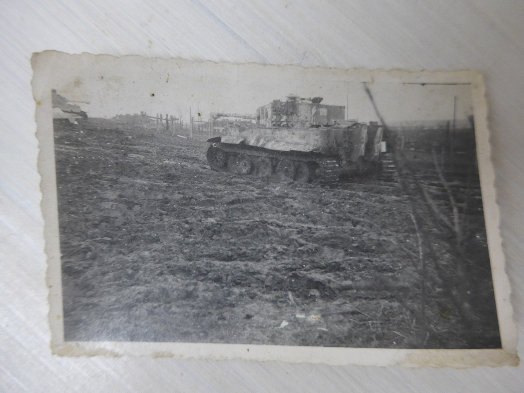 Foto Panzer Tiger im Felde Rußland Tarn7