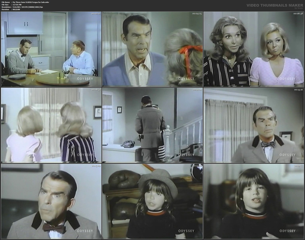 My Three Sons S12E02 Fergus for Sale.mkv