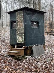 IMG 4587
