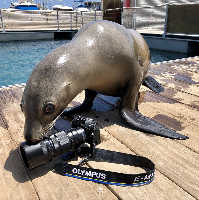 B822854A-121E-41EB-A64E-8DFEFDE3410E