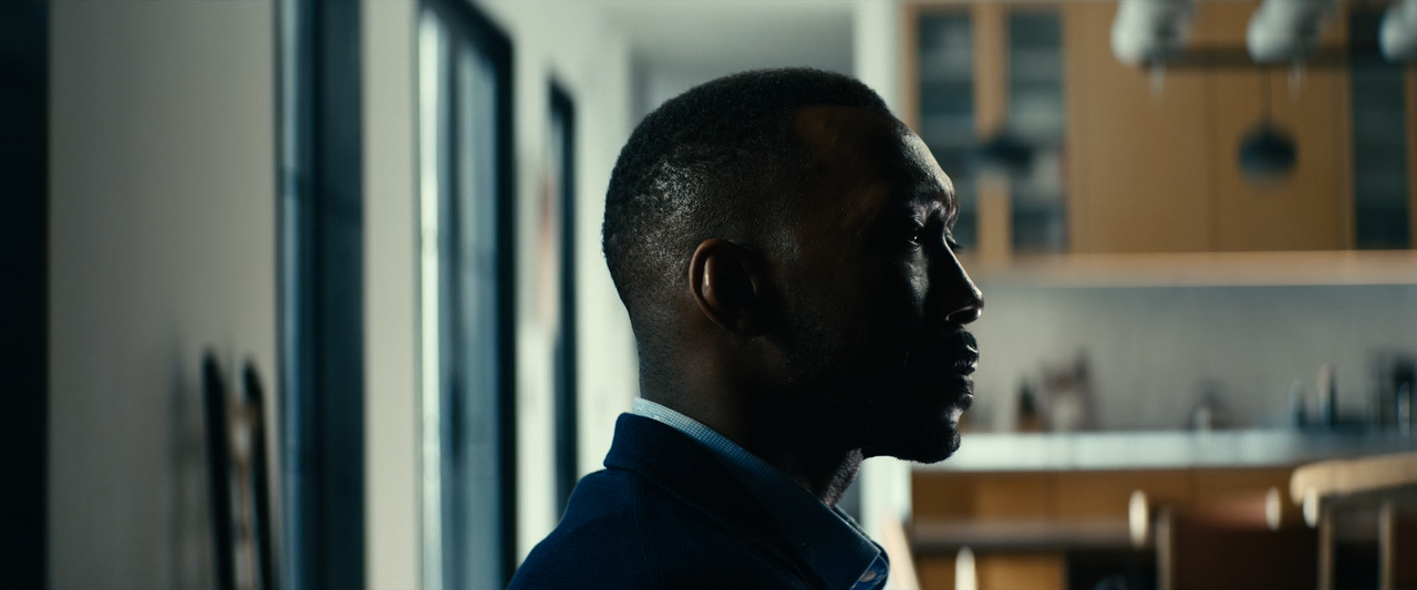 Leave The World Behind (2023) (1080p WEB-RIP AV1 Opus) [NeoNyx343] - [01:01:17.875]v1