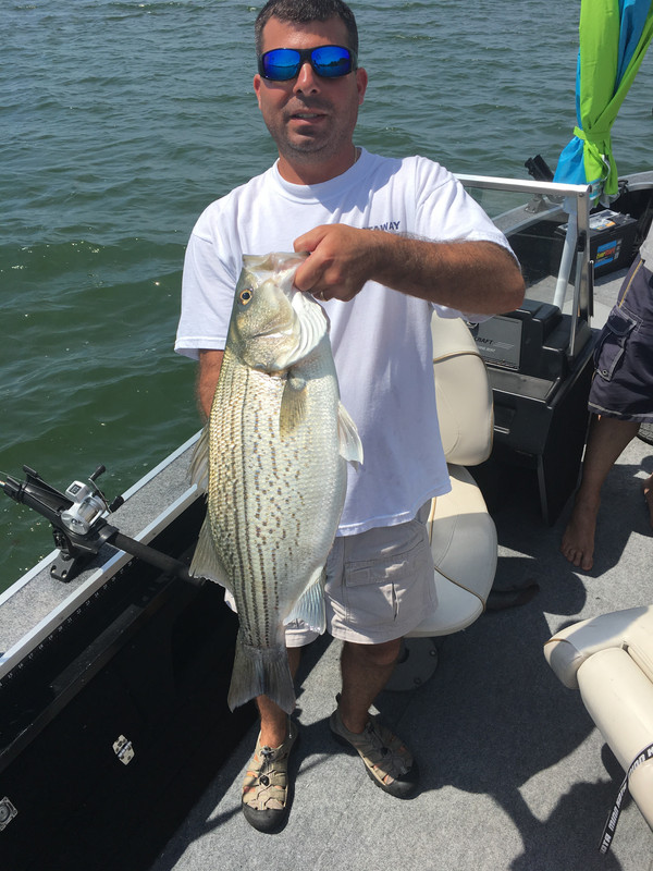 D737844F-6956-42F4-8724-51C2D06EB498