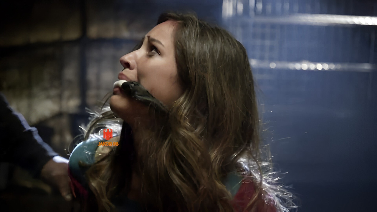 Kelsey Asbille Chow 7 - Run 2013