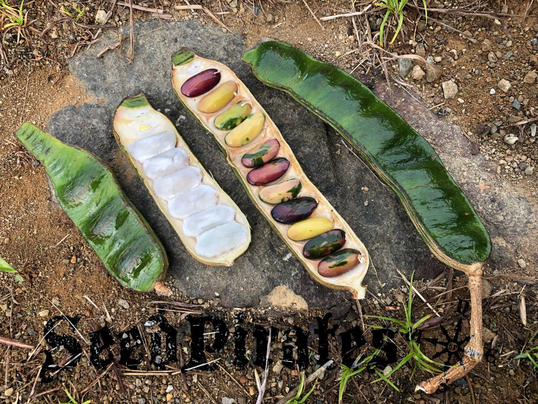 F6271F8B-0B5D-45C5-B8EC-335021D3069F