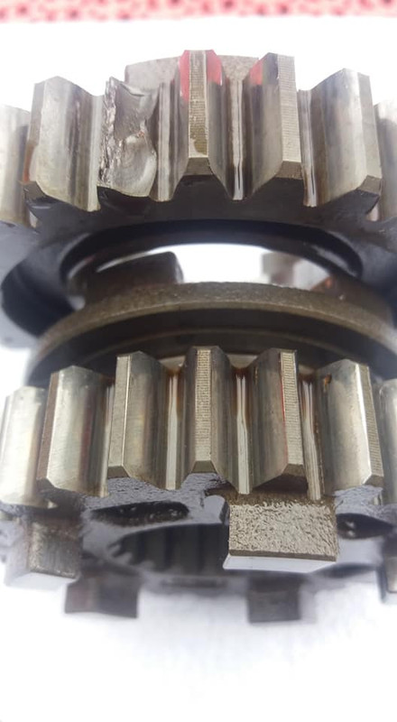 91573897_1857720547692910_6020429063812808704_n