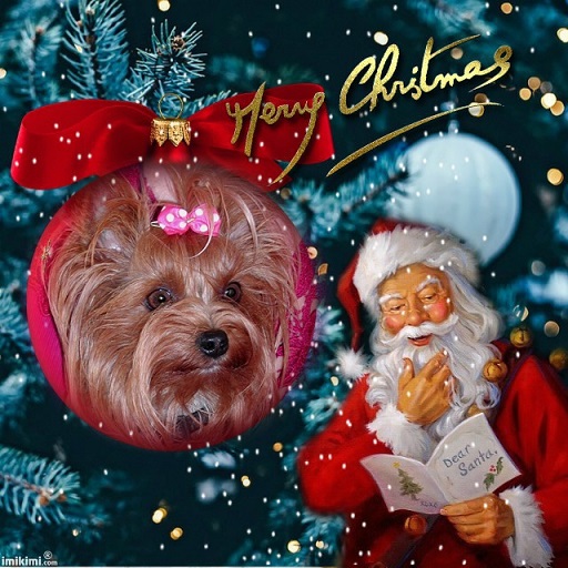 pixiz 23 12 2025 17 55 48