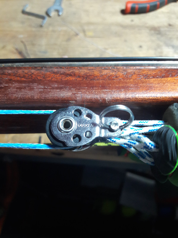 117316108_289533769017222_3164764710465737655_n