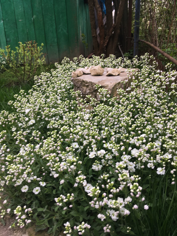 5C7534F4-17C8-4D88-889F-85D6F55D173D