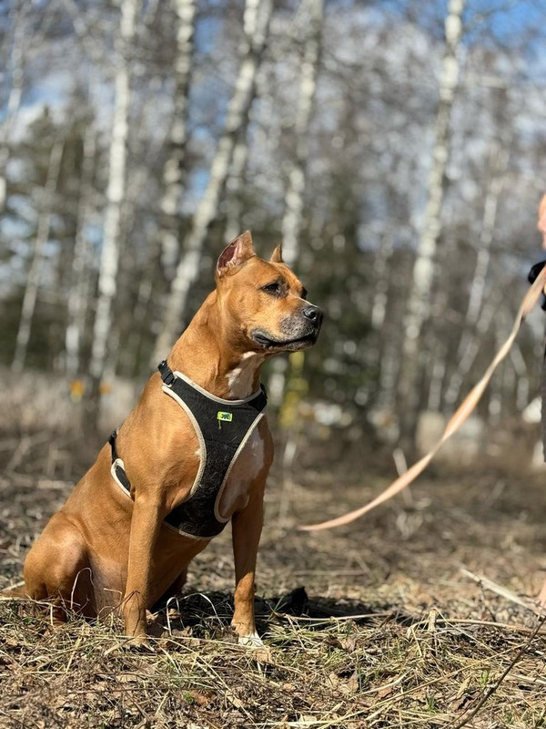 WhatsApp Image 2025-06-20 at 00.22.41 (1)