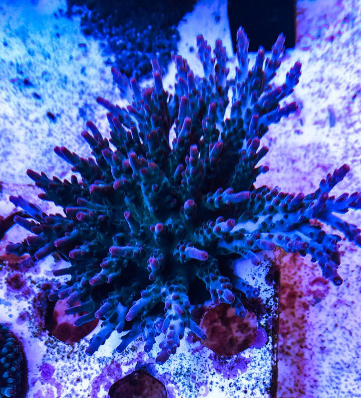 7293208B-8ED8-47E4-BC91-FD94BC56EBB4