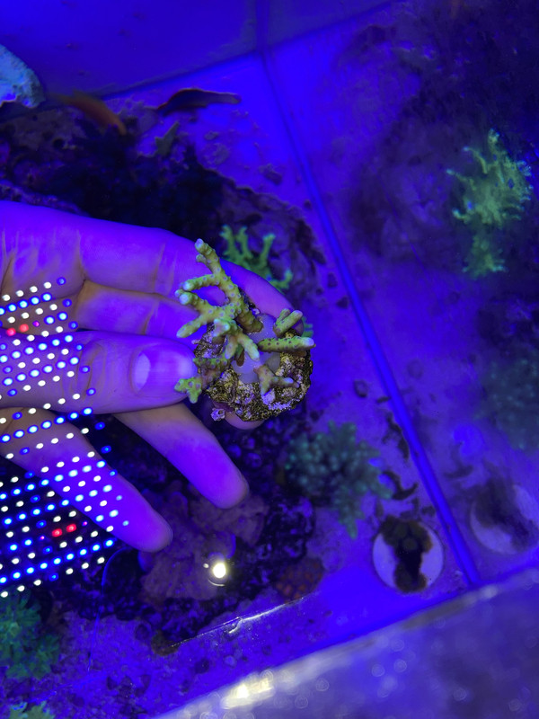 70A88B54-E0FD-406D-A3CF-8D0FB8E0ECDD