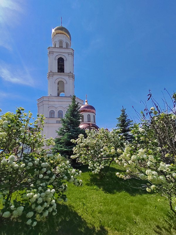 https://i.postimg.cc/Vv1s7KKr/245-IMG-20220605-113604.jpg