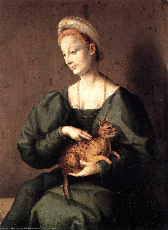 Francesco-d-ubertino-verdi-bacchiacca-woman-with-a-cat