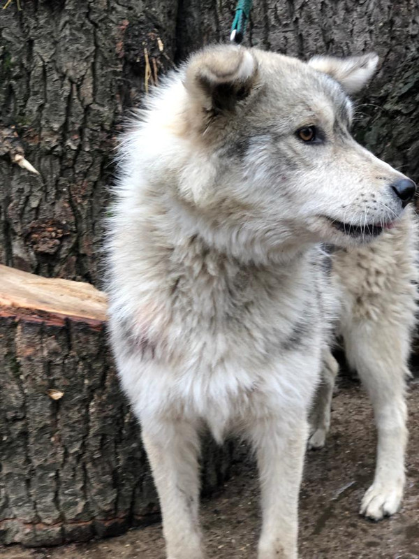 WhatsApp Image 2022-09-07 at 15.46.14 (1)