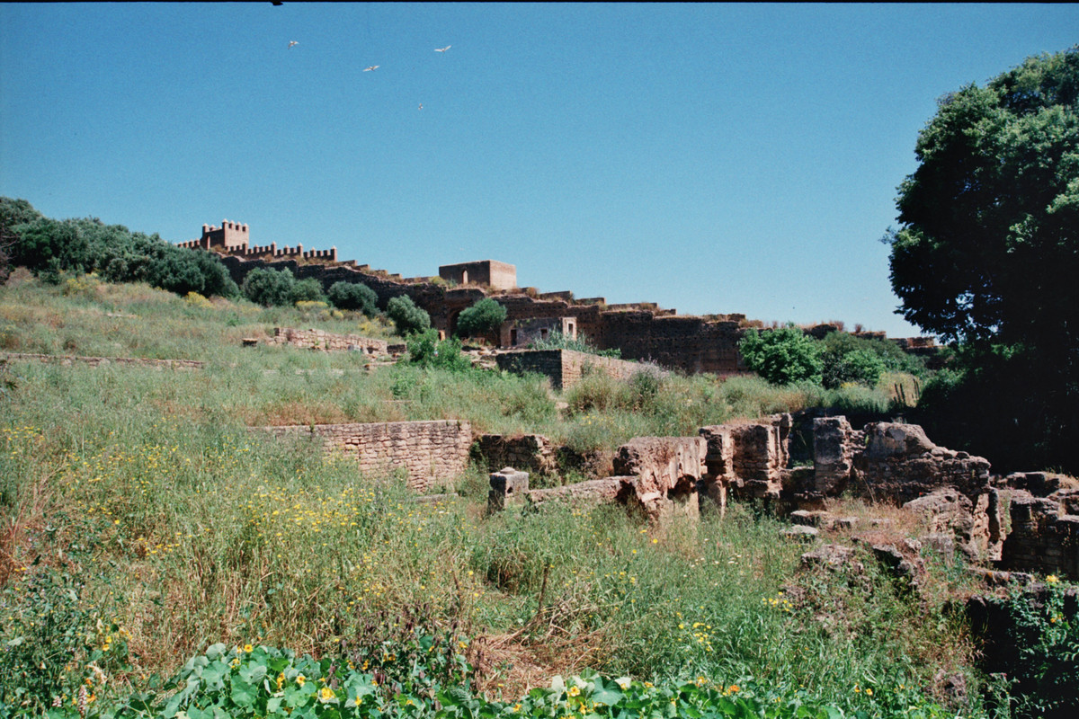 Chellah Necrópilis (9)