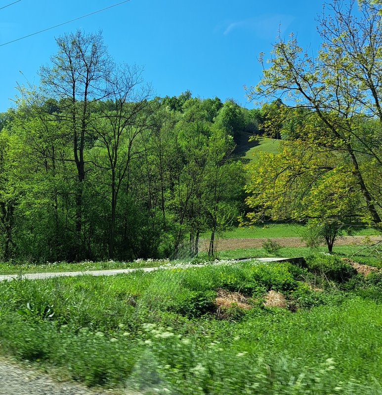 Slika