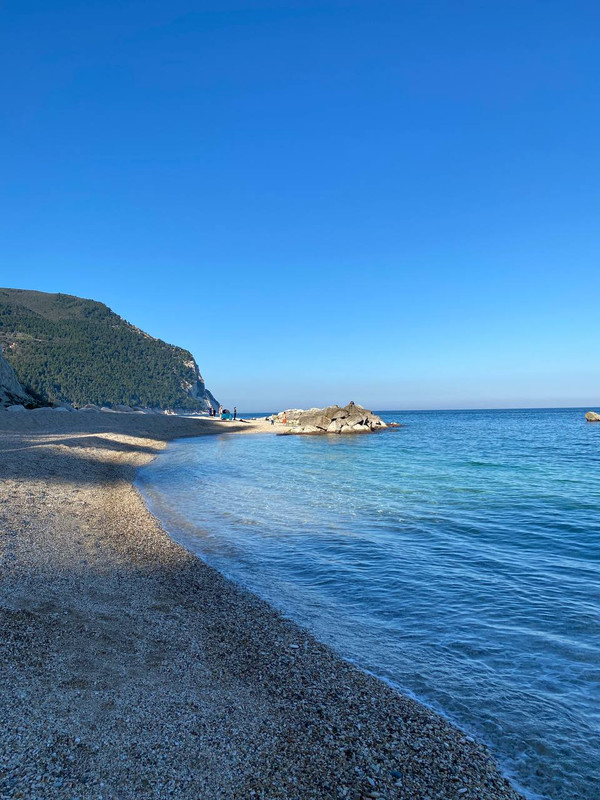 photo 2026 02 25 15 50 56