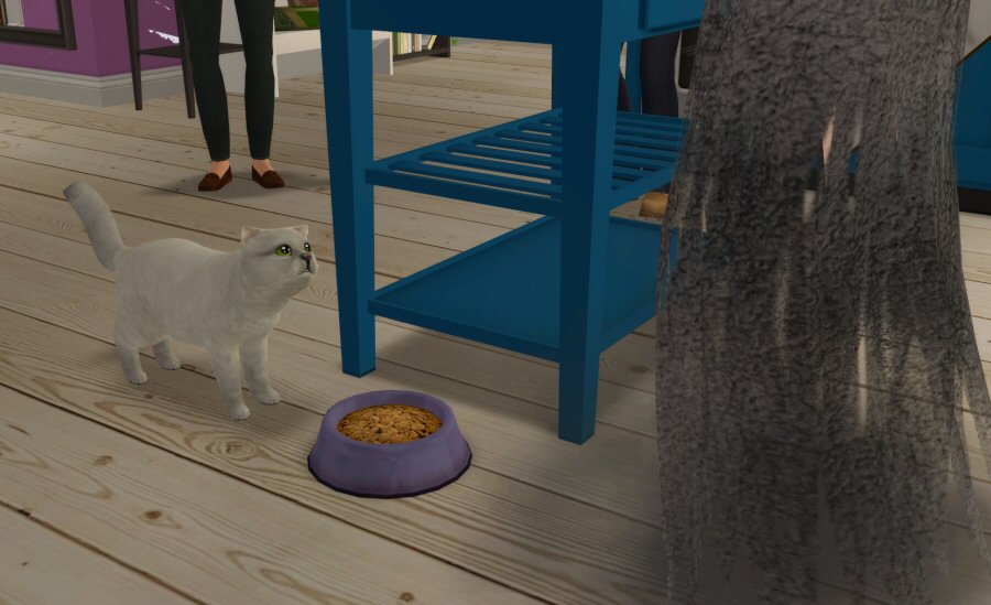 Sims2-EP9-RPC-2021-04-03-16-07-11-63