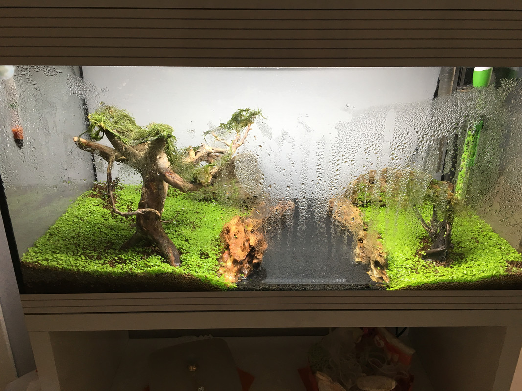 D517DA5F-43D1-4012-A4C6-C1BF1CFACEA5