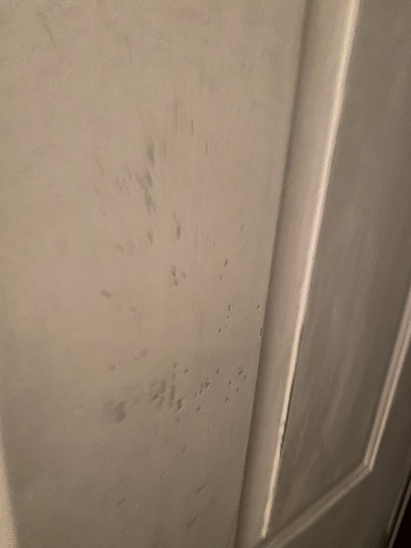 D455BF21-728A-4FB8-9A2E-73AC8534ED4F