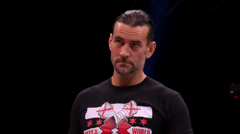 tumblr_0b34afa52538e94dc3d20f6df749fa24_33033398_500