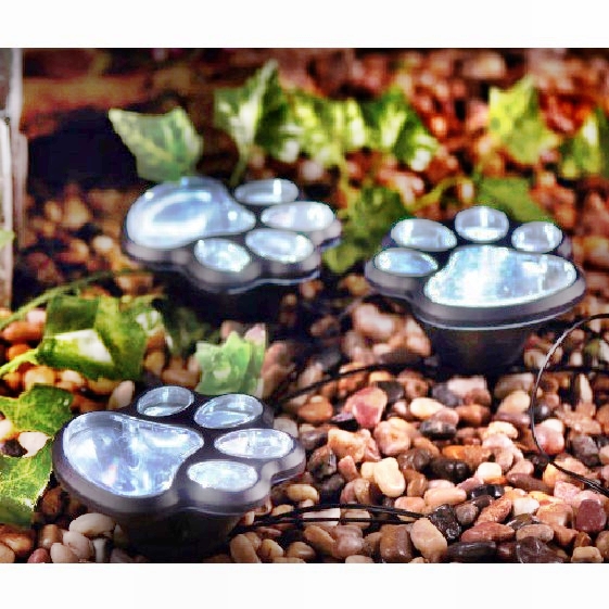 Solar String Light : 81674