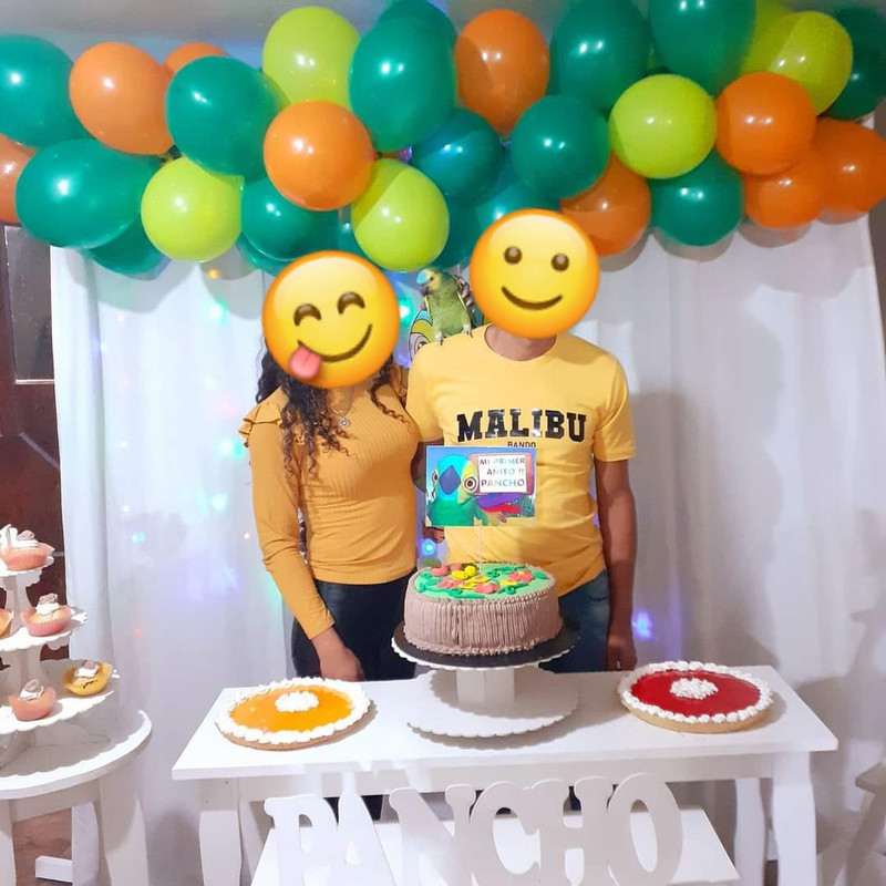 El loro Pancho se hace viral por celebrar su primer cumpleaños
