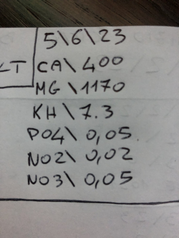 24E5F9B5-D30C-4CD4-96C0-9CEA82ADC167