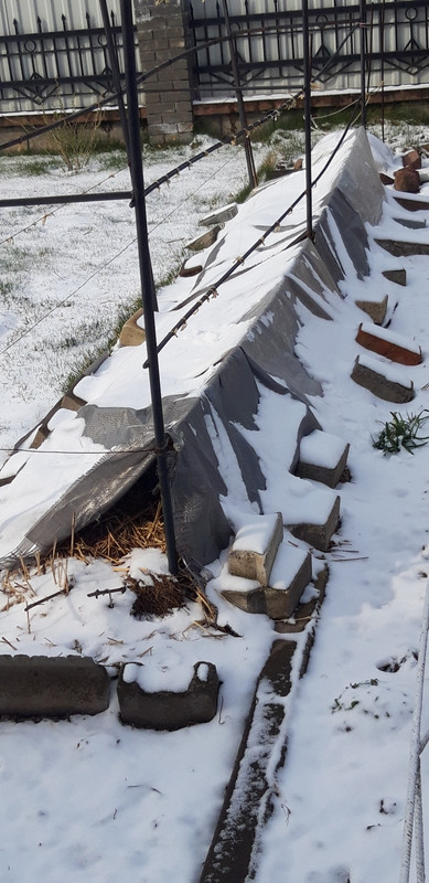 Возвращение зимы-1 в конце марта, 2020