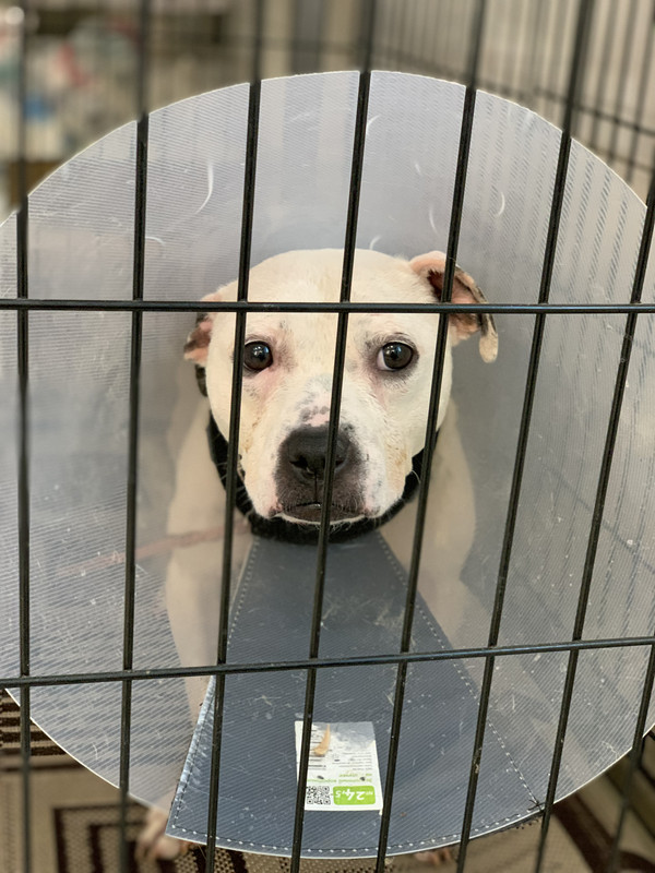 8B27A8B8-D024-4C2C-AF95-00E92851F096