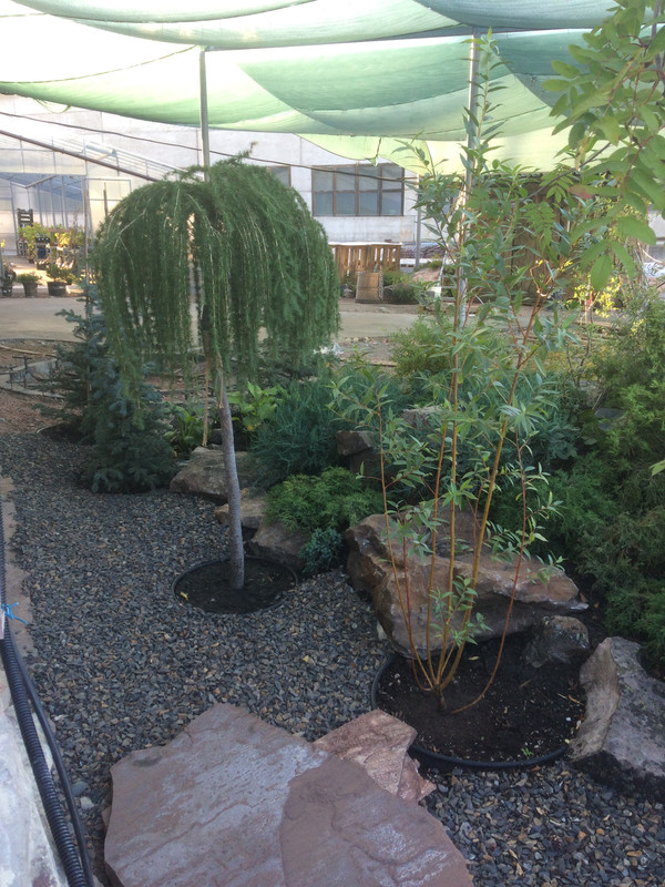 8A875740-369C-4E2B-9417-213A6B72CEF9