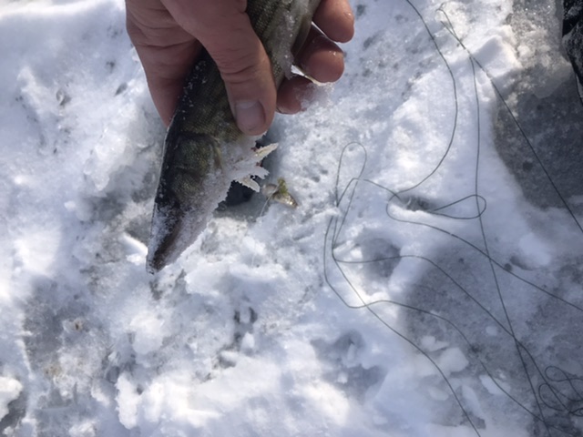 F8F3BE25-504E-4E9F-A714-13686E05B8AC